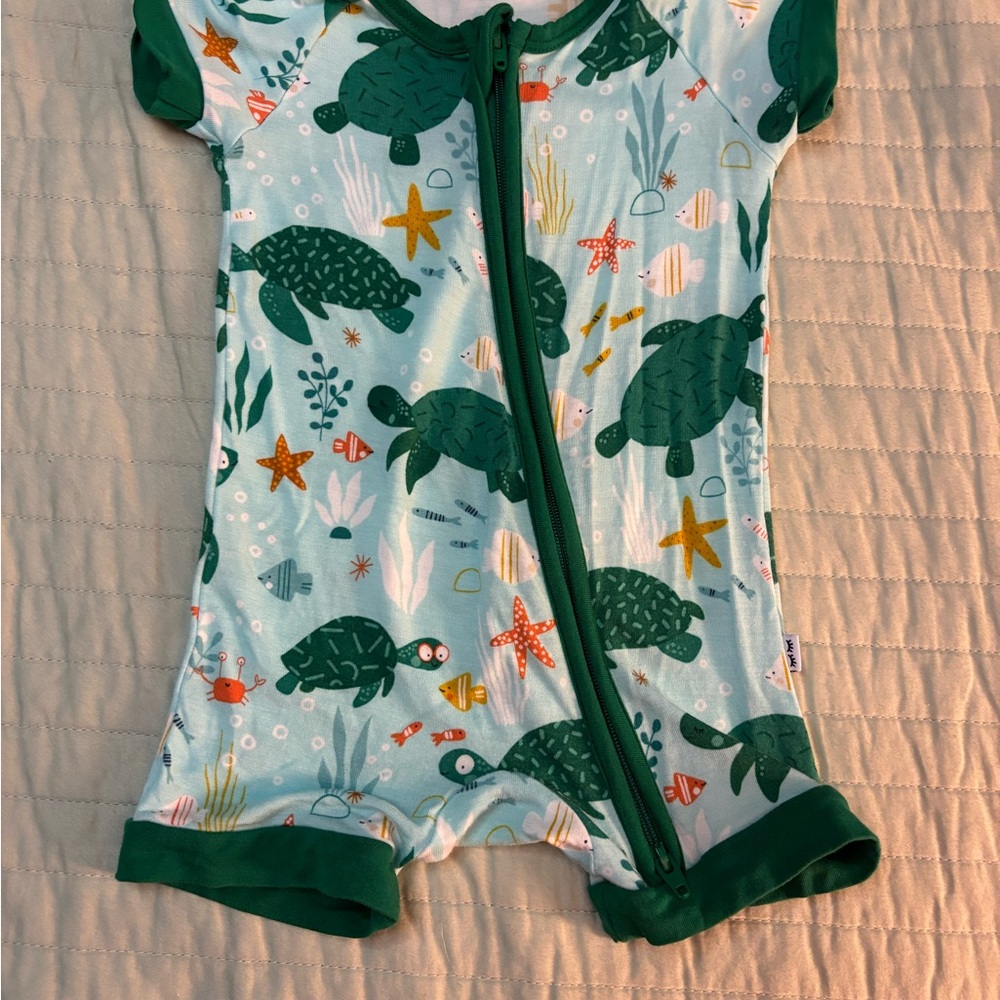 Little Sleepies Green and Blue Turtle Pajama Set